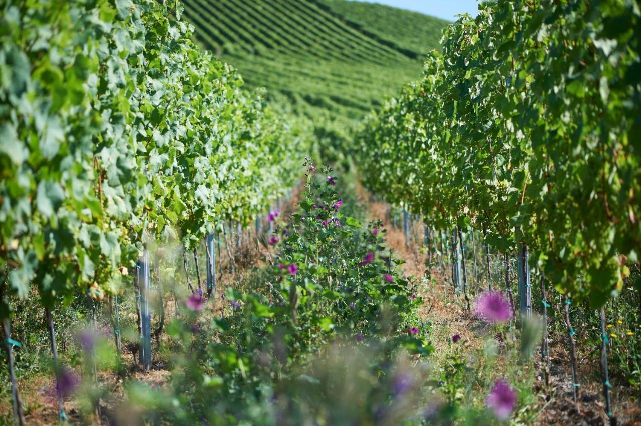 Ferienweingut Willems Oberemmel Eksteriør bilde